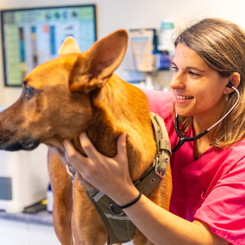 Our Answering Services